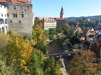Gartenbauverein